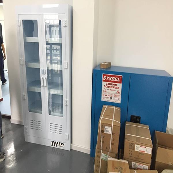PP Medicine Cabinet