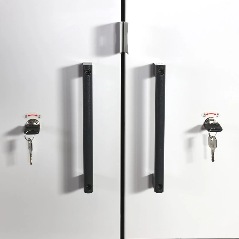 90-Minute Double EN 14470-2 90-Minute Fire-Resistant Gas Cylinder Cabinet best